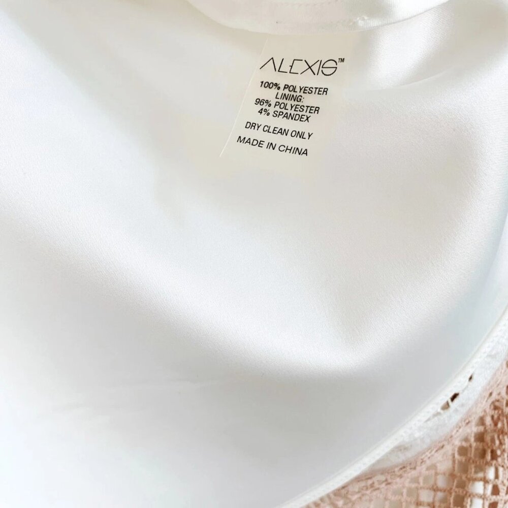 NWT ALEXIS Melania Lace Cut Out Fit & Flare Dress in White Pink Size M - Picture 8 of 8